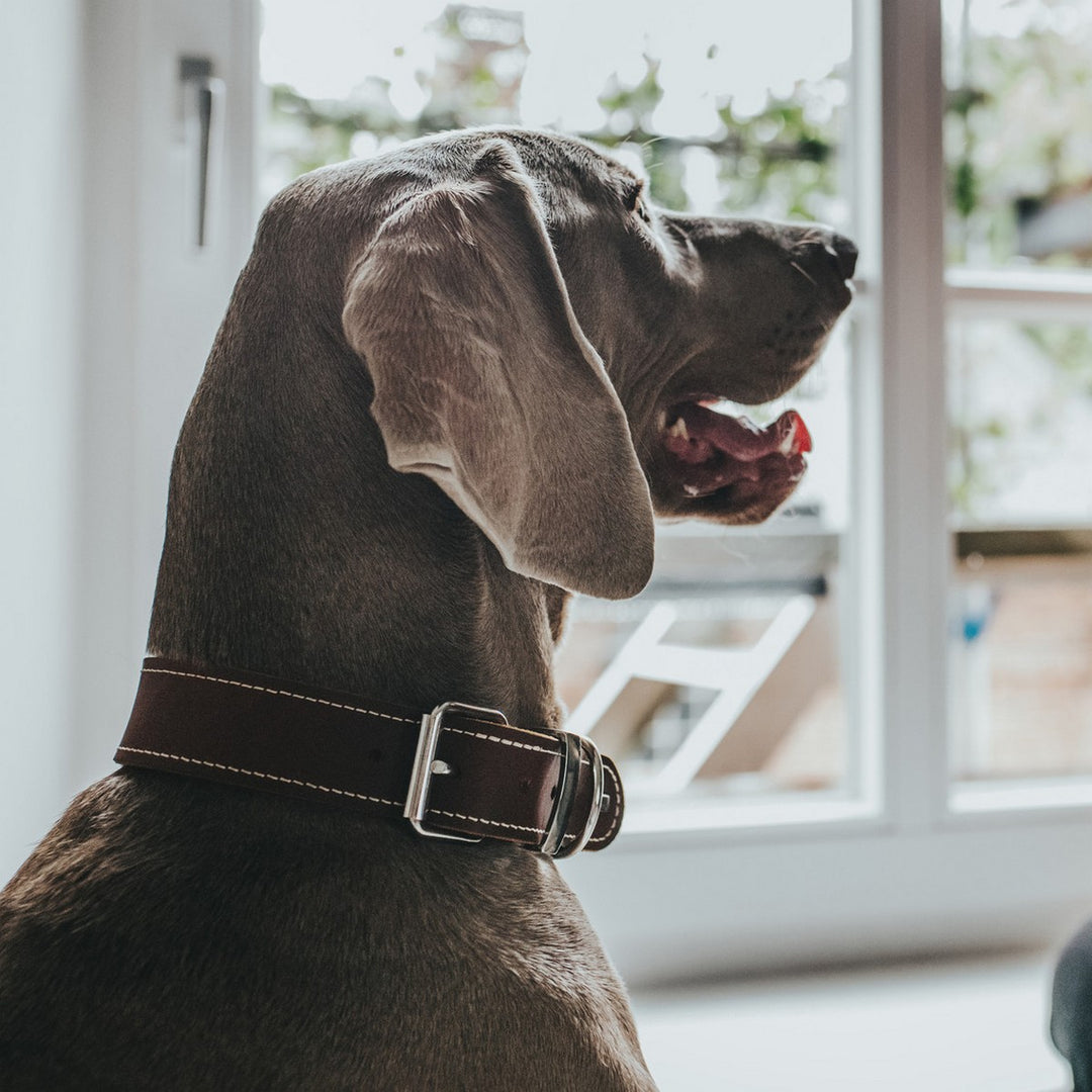 V10H24F628AE1CC76376A9D53A9F92048E2DR1561426P3