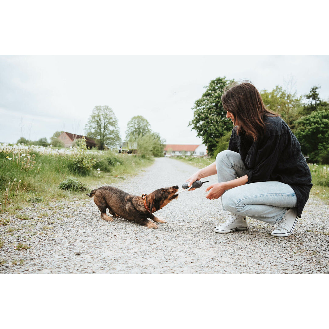 V5H1C88DF9CC01B3B913138E6986AA22FBER5574734P2