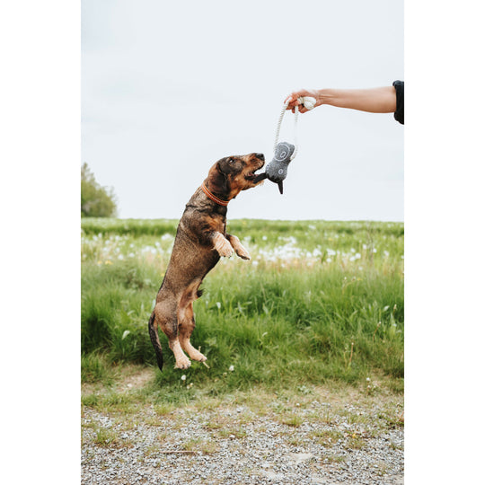 V5H9CC7D64017460EFA88AFF93C7940187BR5574736P3