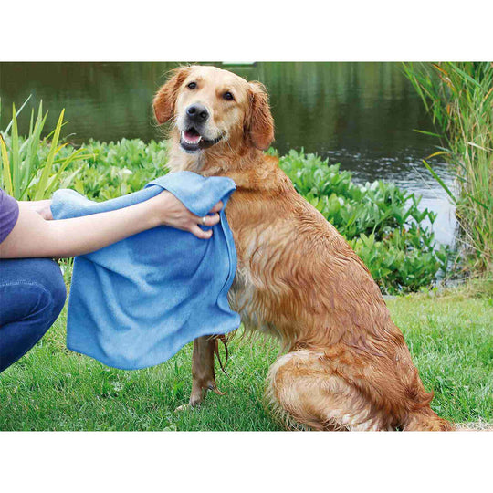 V6H04232005D4FAF18167227F2760CC6039R7444202P5