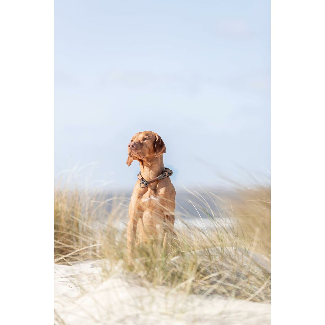 V7HAEFD27DE998AA4C8A581C92B609FE7C8R5330128P10