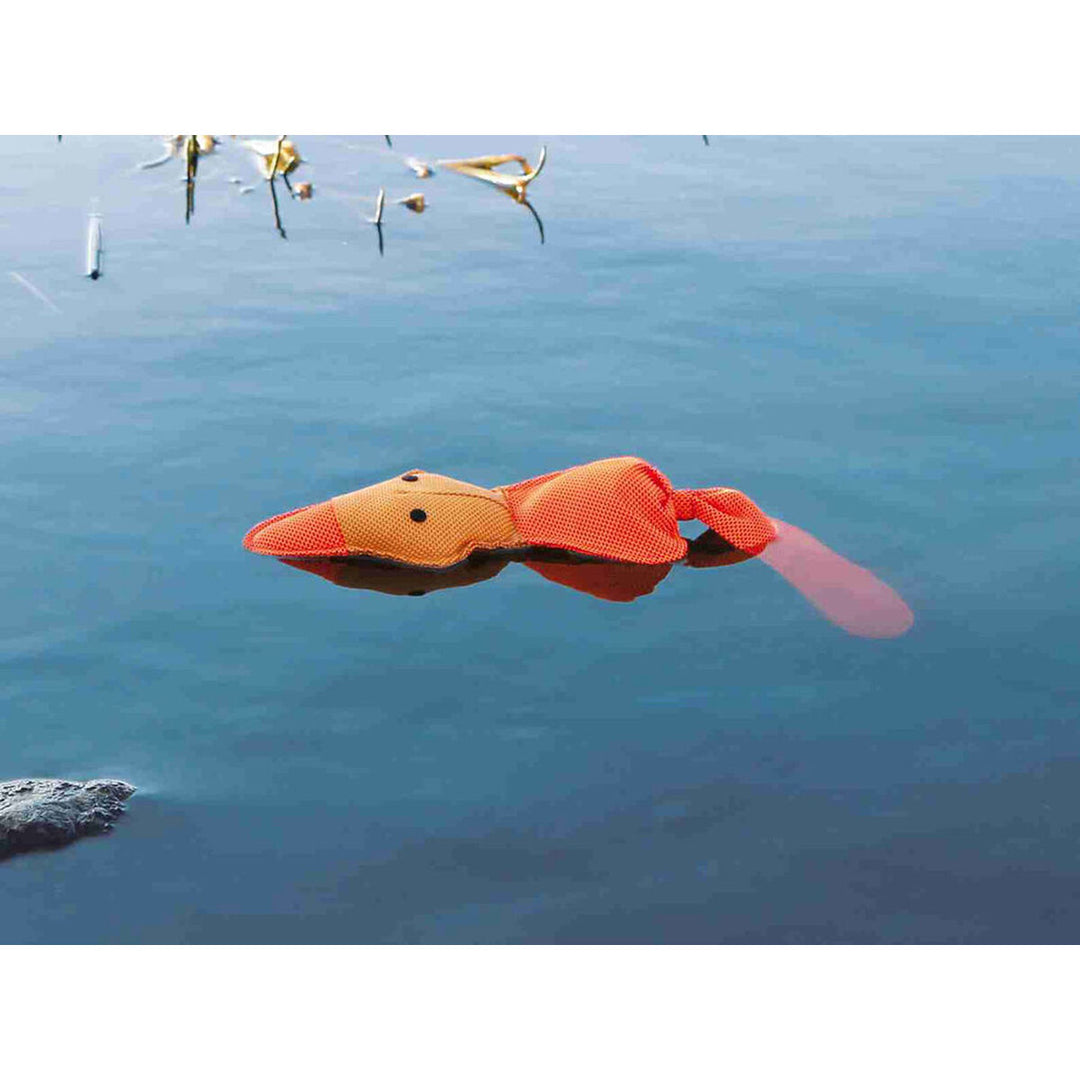 V8H645F377177CDF6E47EC51DEFEA2986B5R7443518P2