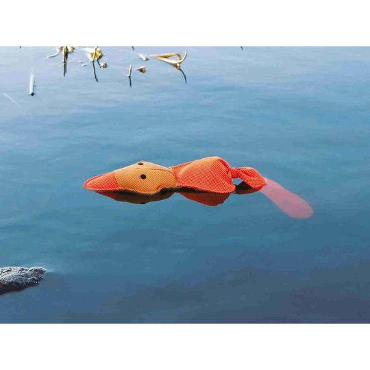 V8H645F377177CDF6E47EC51DEFEA2986B5R7443518P2