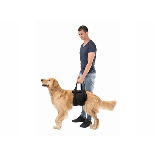 V7HC2A2BAEBAE5E26A90A48F2C196514674R7439982P3