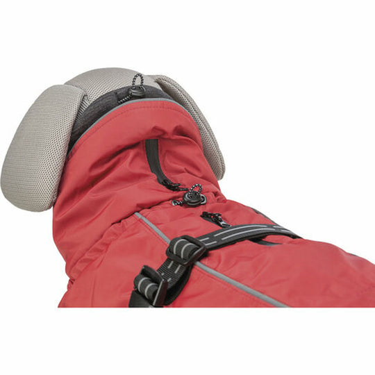 V7H786D6DCEA67695C64C865A906722F950R7449426P10