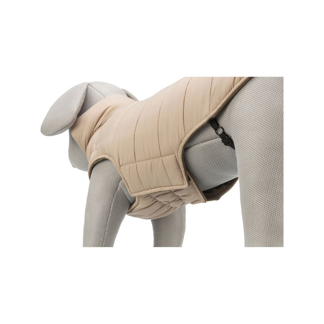 V7HED5FAD9CF6CA7F7FD8B77D33DB1A6FABR7461134P7