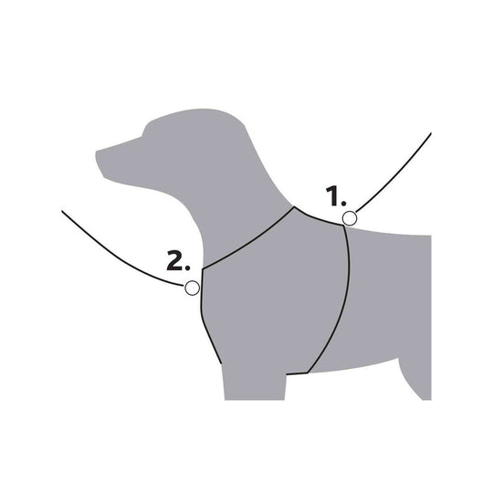 V7HC018C3CB85E6F4A709C9E775923B8CF2R7458985P3