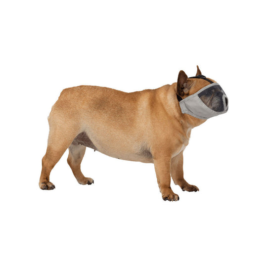 V7HA02355E55BAD62737E847EAB8A2C73C5R7439891P3