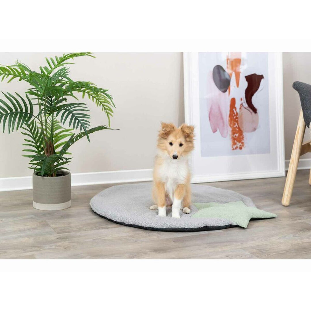 V7H759F8DA64B7DEA4C9BA1C999FB07AC4AR7446972P7