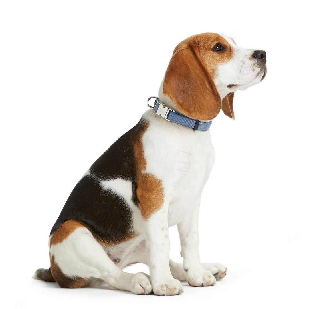 V5HA5A70F827744B2F58FCF1522FEDBF232R5582610P2