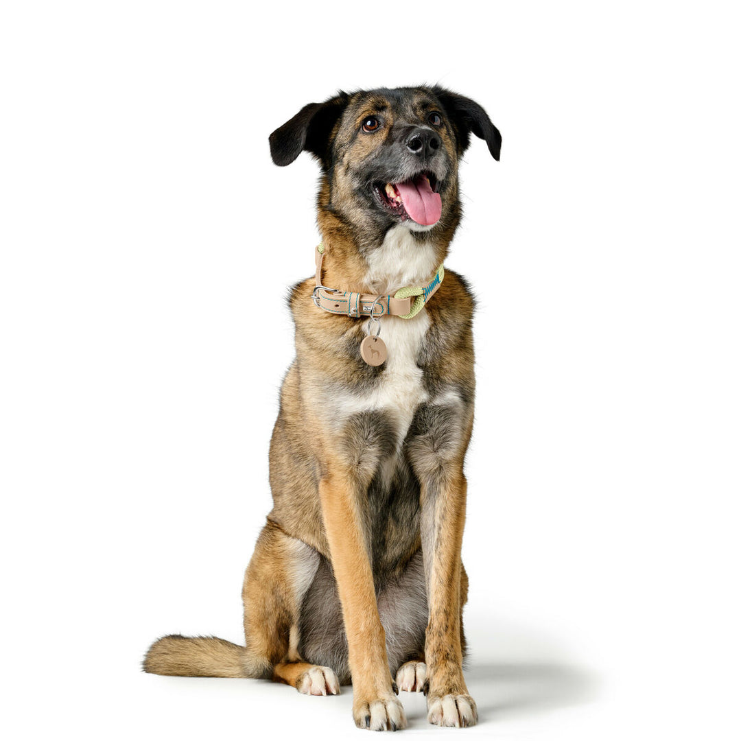 V5HA4343B6EB71B96EFC906A72F8204E452R5575472P5