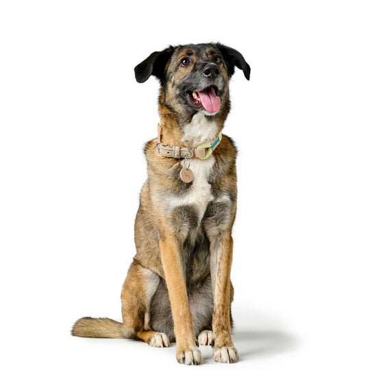 V5H12F63D6A6630A555DADC4B81D6AB78C5R5575513P6