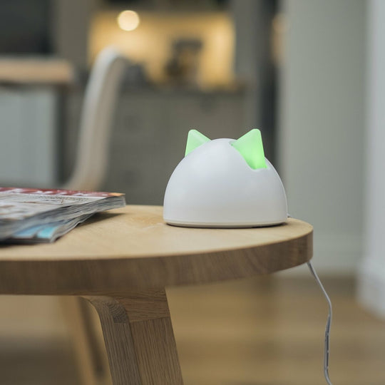 V8H2E415F72C05250C8A18AFE0523CFD072R5304066P7