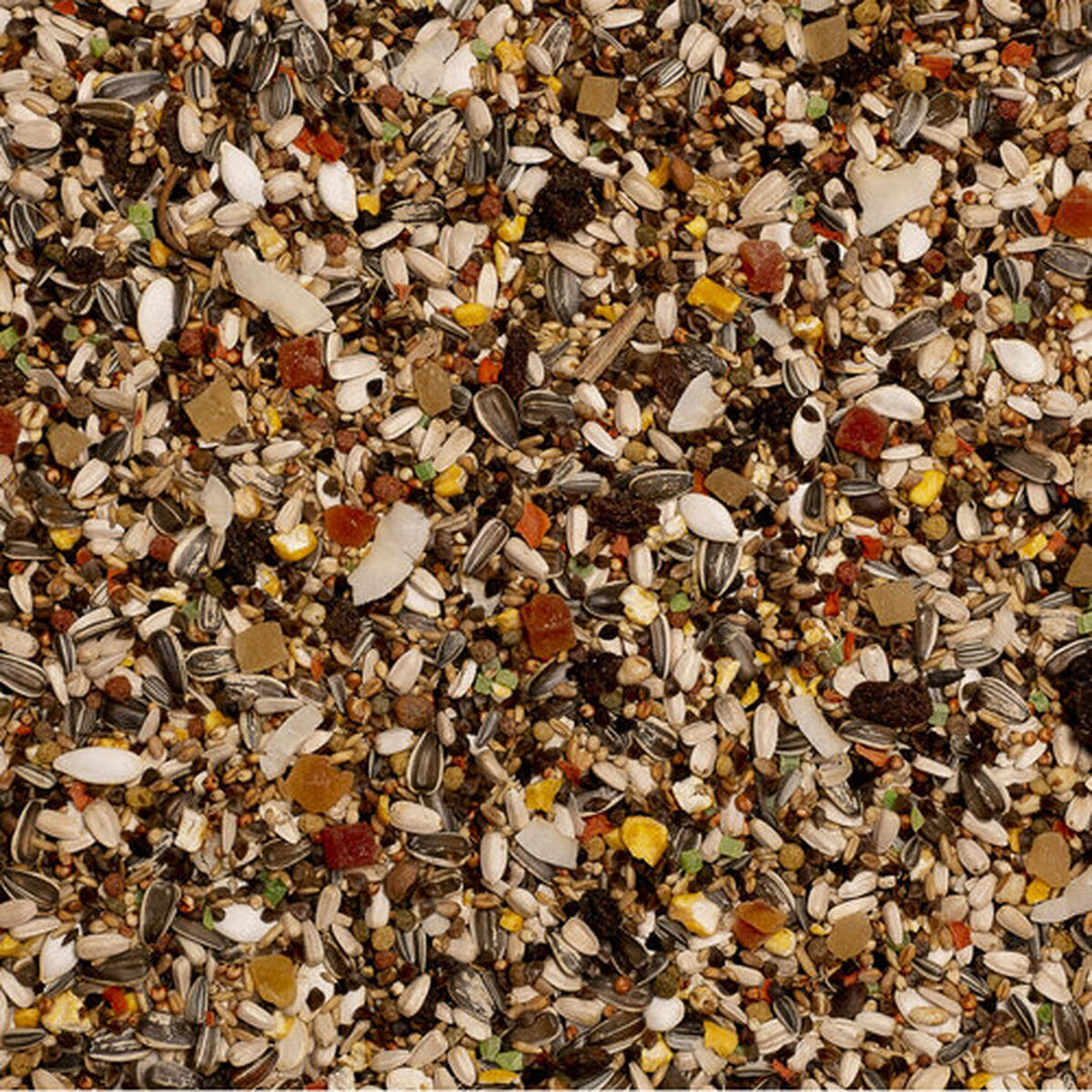 V8HE2F0E4659396CA303DB3F4753A8F20B2R7444040P4