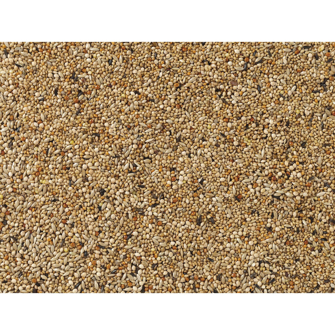 V8HE2F9A7C859C75DEDEAE50180F5B252F7R7450164P3