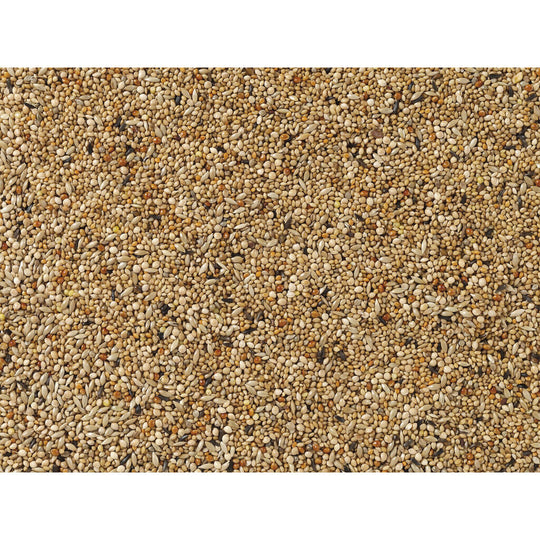 V8HE2F9A7C859C75DEDEAE50180F5B252F7R7450164P3