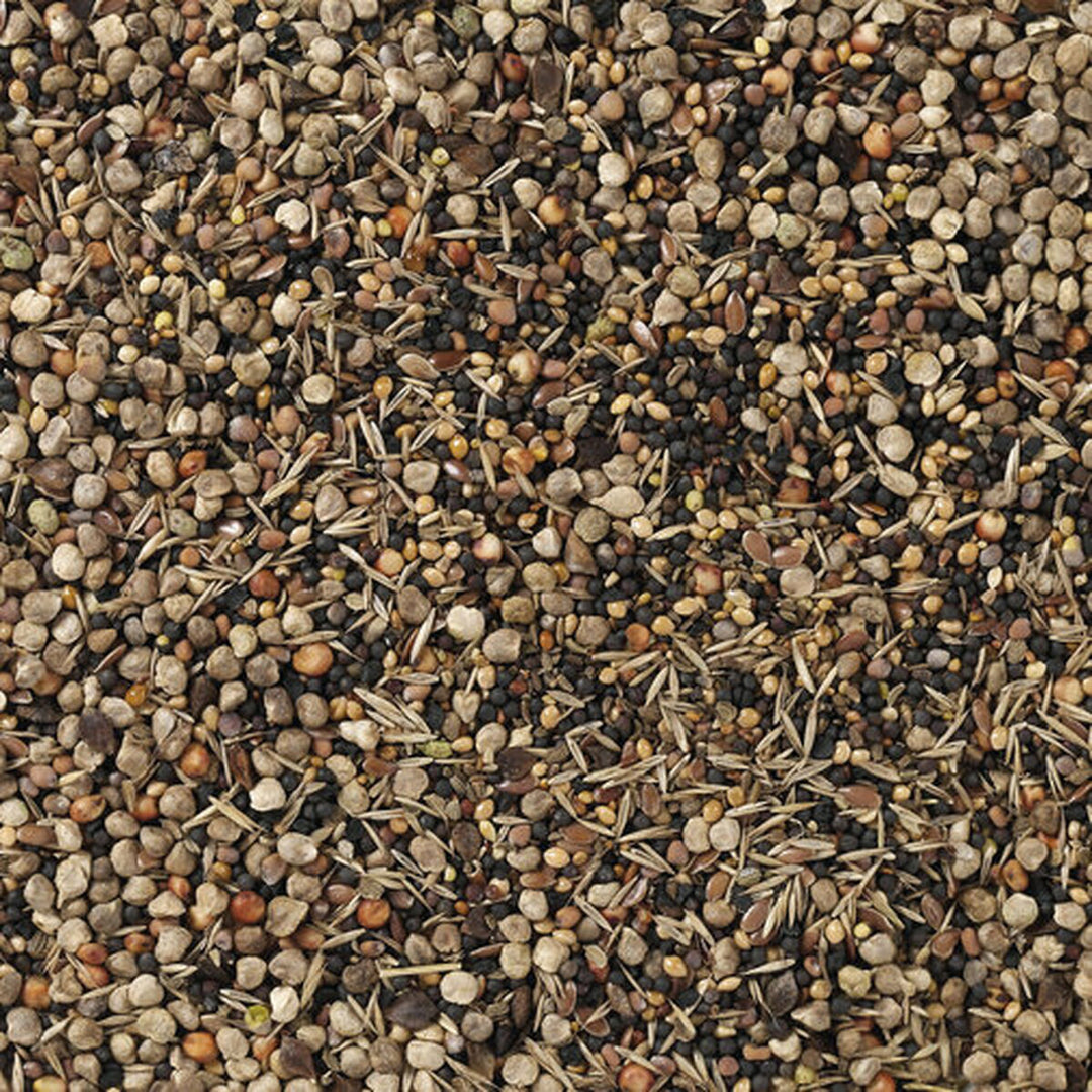 V7H297E418656C05B8A687530D4A2AA37D3R7450272P4