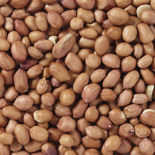 V6H3E9DA8BC80A5FF85020F48E64222327FR7449974P4