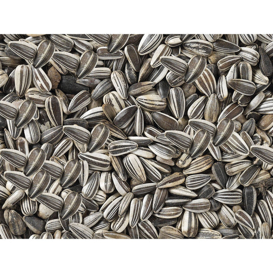 V8HB377F1DC965A6590509CBC373F7E15C7R7450078P3