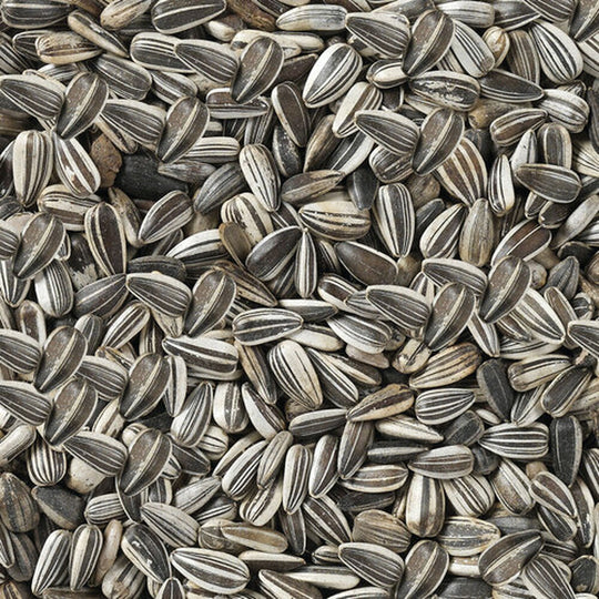 V8HFF41B1A6ED23EBDCCAC68E7856FE3A1AR7450079P4