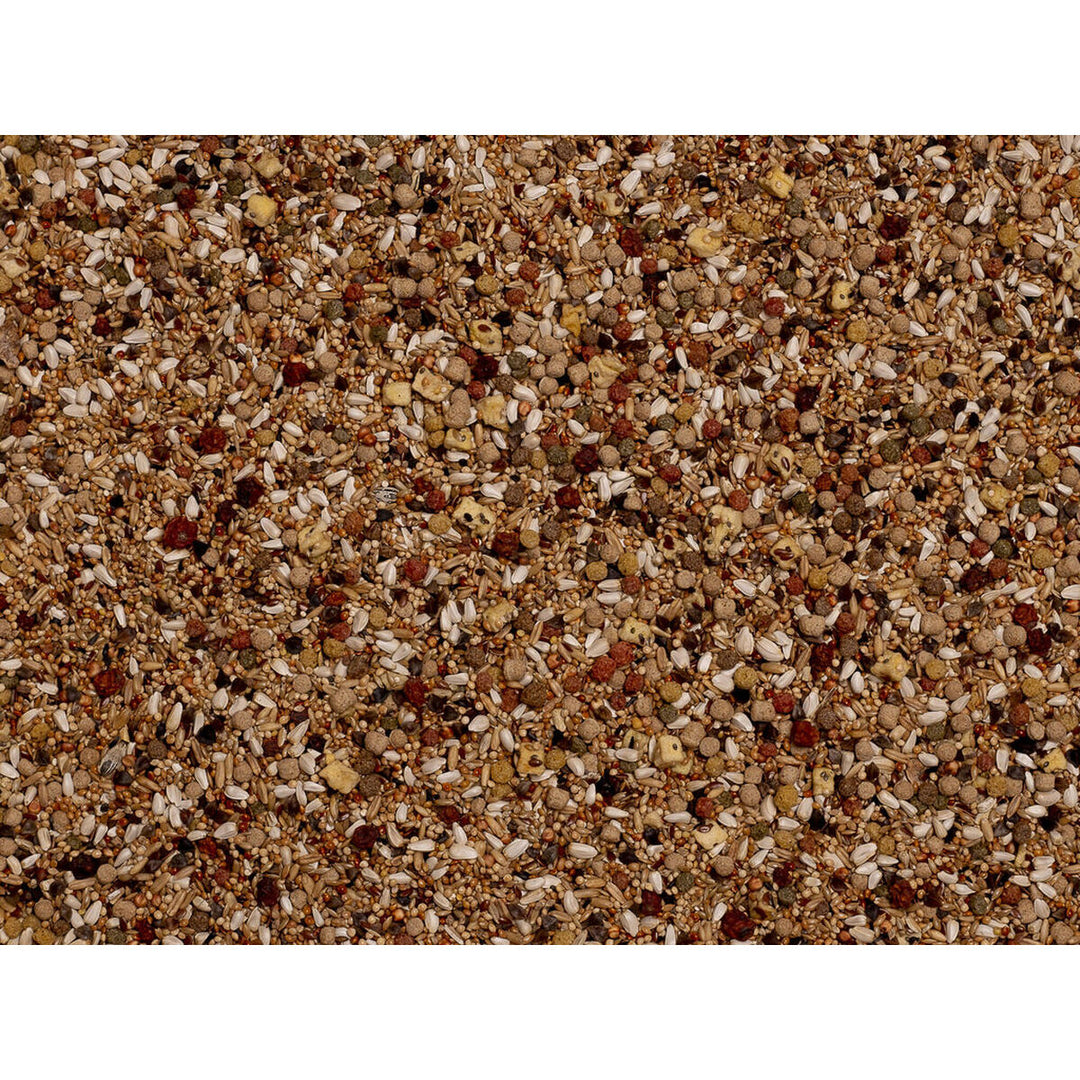 V7H1CC95846A2A6EDEC42D36761B91592C8R7450557P3