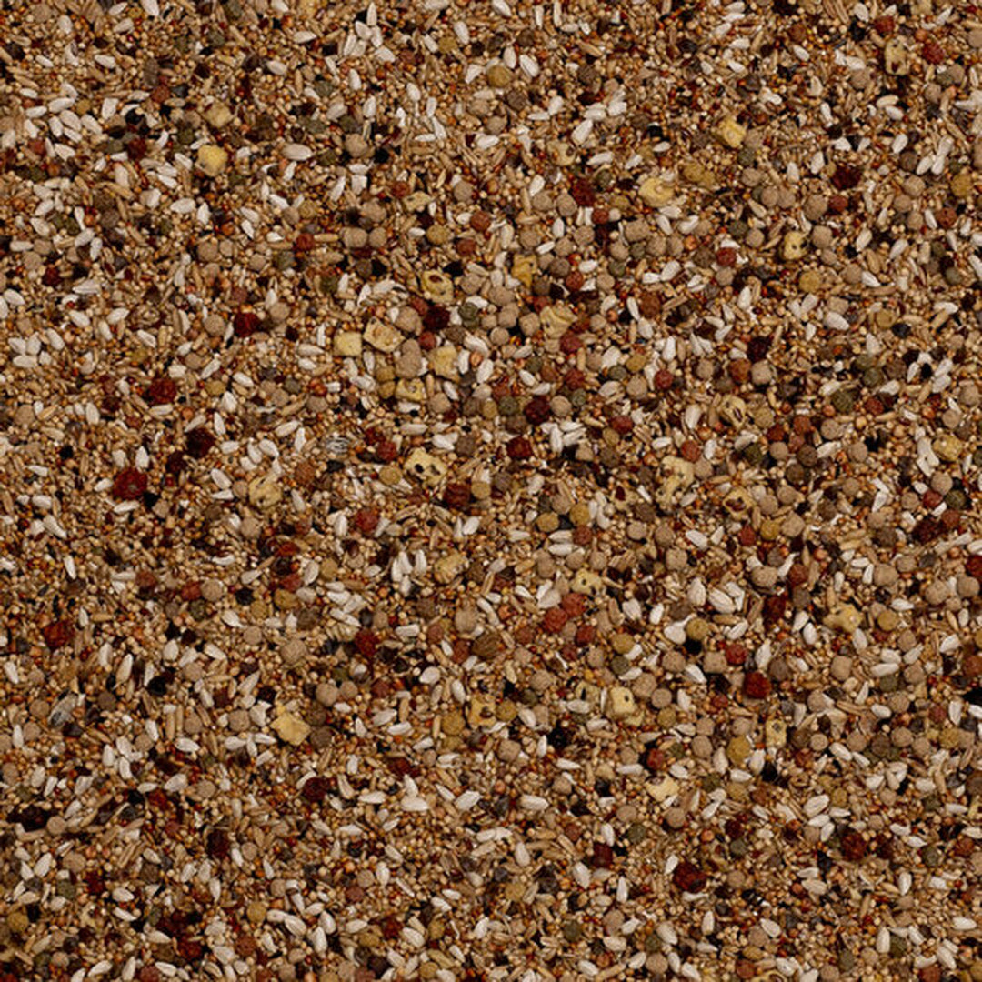 V7H83FC27E65CBE4A55F37EB2EB7AA3B69ER7450558P4