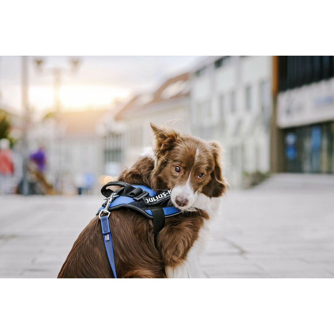 V5H67A50FFDD1436D7BB5701F75B5657F49R5592573P2