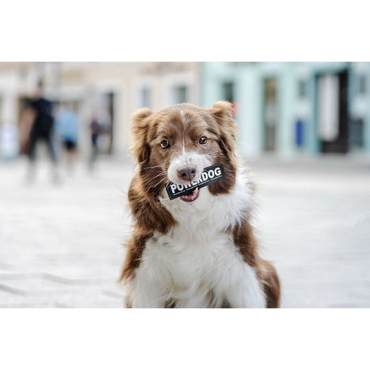 V5H9EC1791F18409A5E27604DD14512BED6R5592574P3