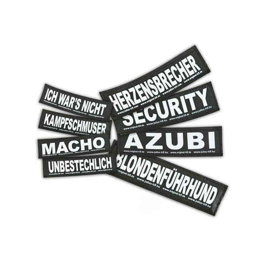 V5HCFB3B5776B106875773003B413B6B3C8R7450898P1