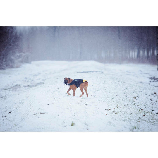 V7H4022C0BBEF08A5F2EFD3802D81FC5343R7445350P2