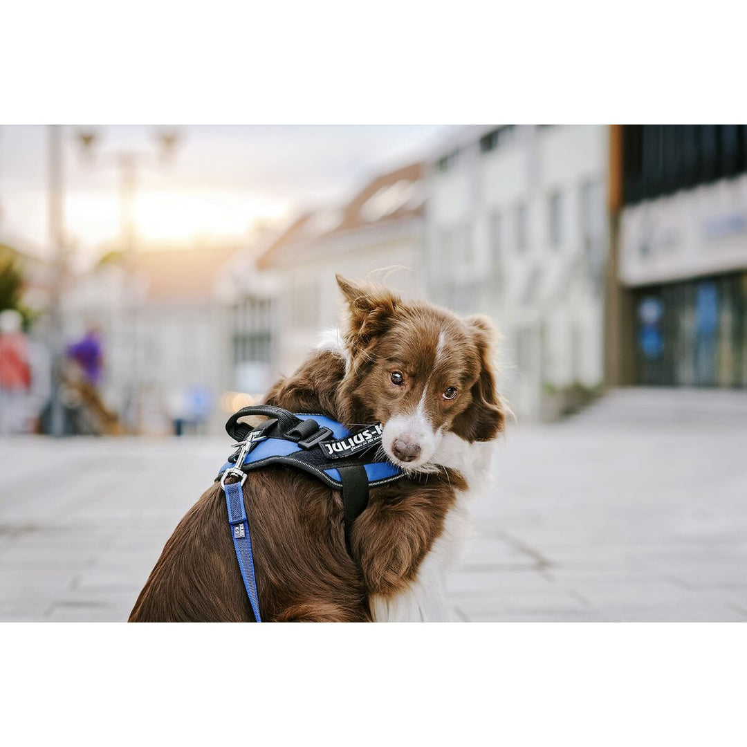 V6H6D7D84E15CFF22721EE96D31EF4F595FR5333072P4