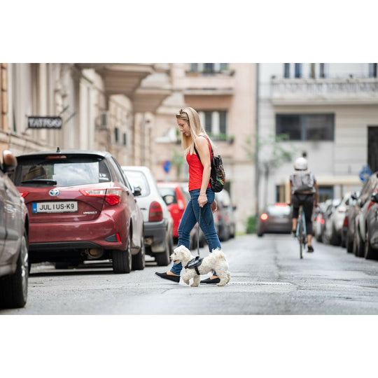 V7HFE8A527B41CF38D1571A13EDE0FF81FER7451136P7