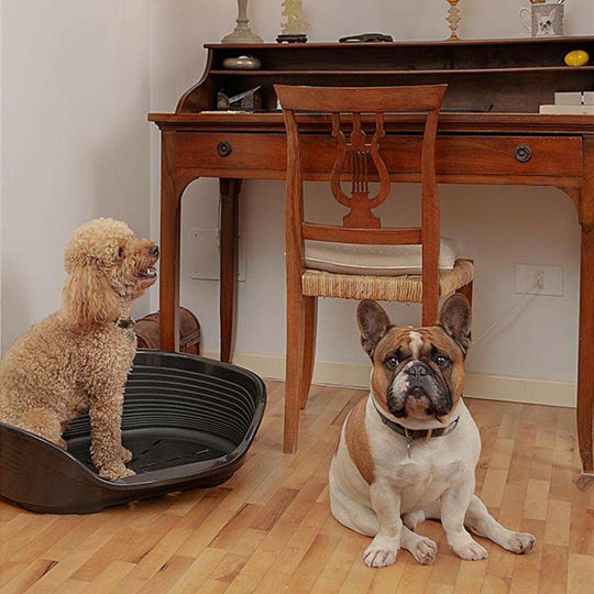 V8H7C7EEC30D3AED769DB1B29FB3EF1B71FR4558507P6