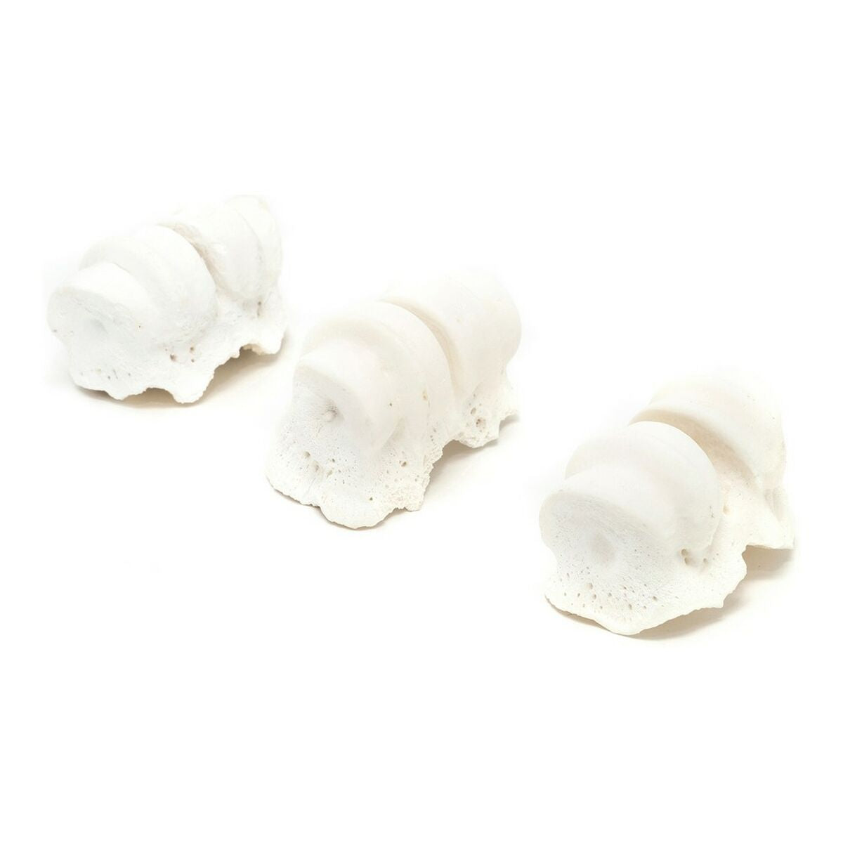 V11HF29FC831BE2DD754B633858E7738A057R3891365P1