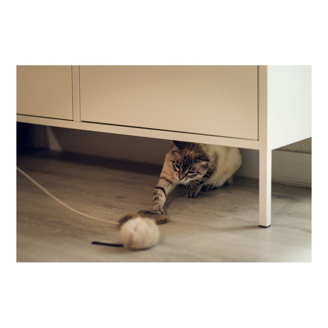 V12H116D63D9AB48F09DCFB032DED6C63E44R5597786P6