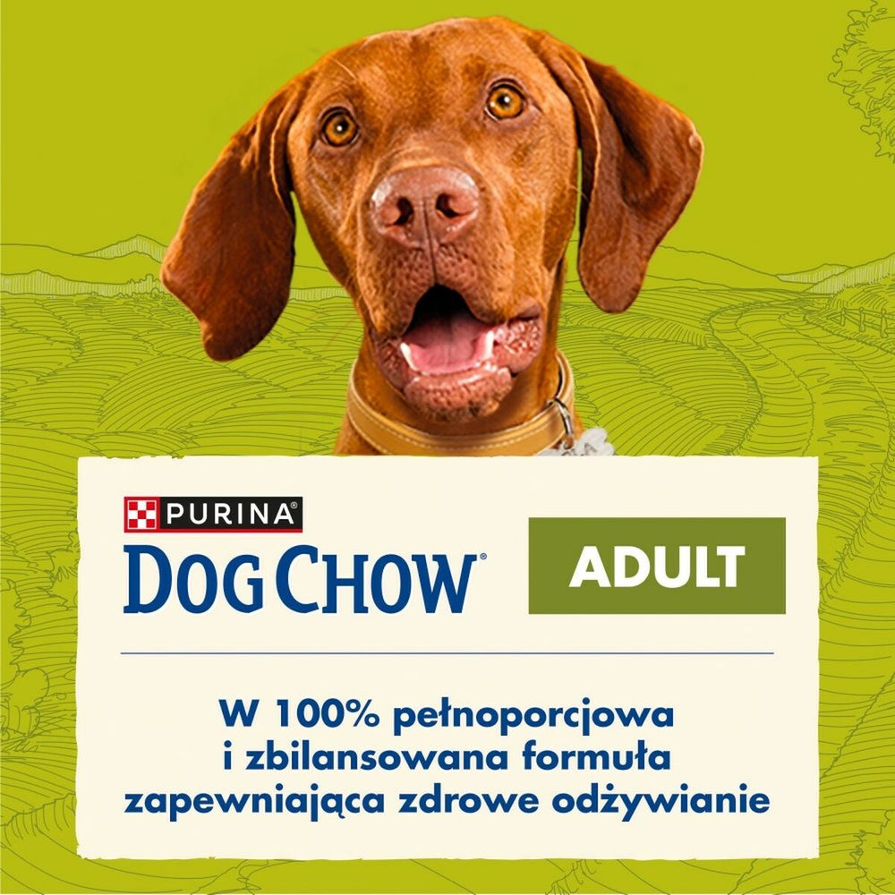 V3H6C9721DB7EA4C9AE05BA30998AABBF27R5061159P2