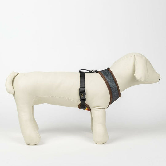 V9H2BCFF9AE58E01F7AEF1612CDE459C9C2R3551278P5