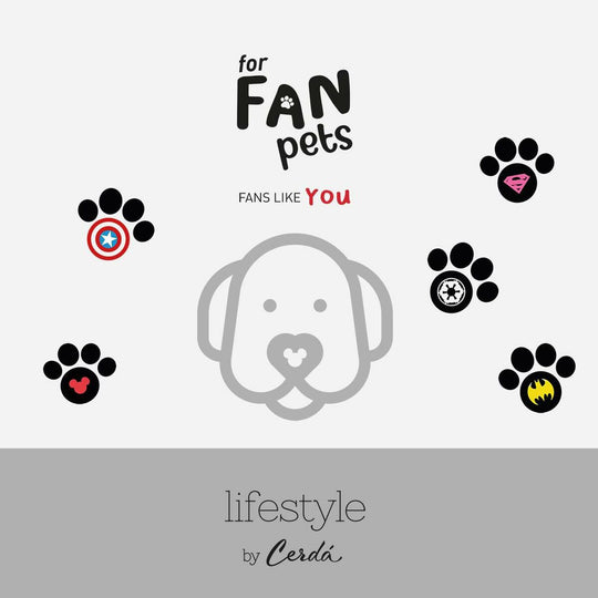 V7H0C9848251BE82B6B7CE5C236BA57601AR6606094P4