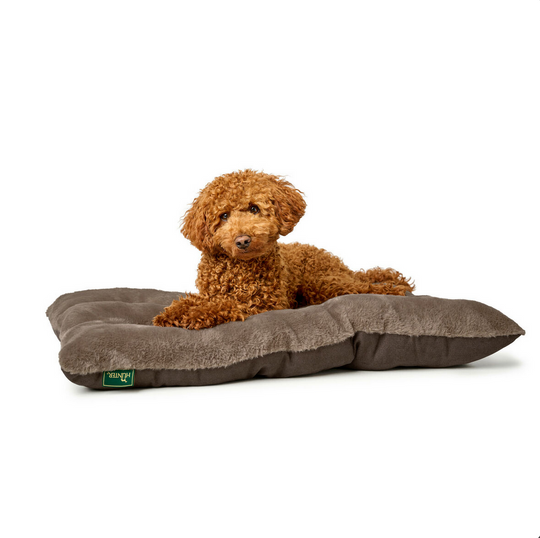 Lit pour Chien Hunter Rockford Marron – 80 x 60 cm