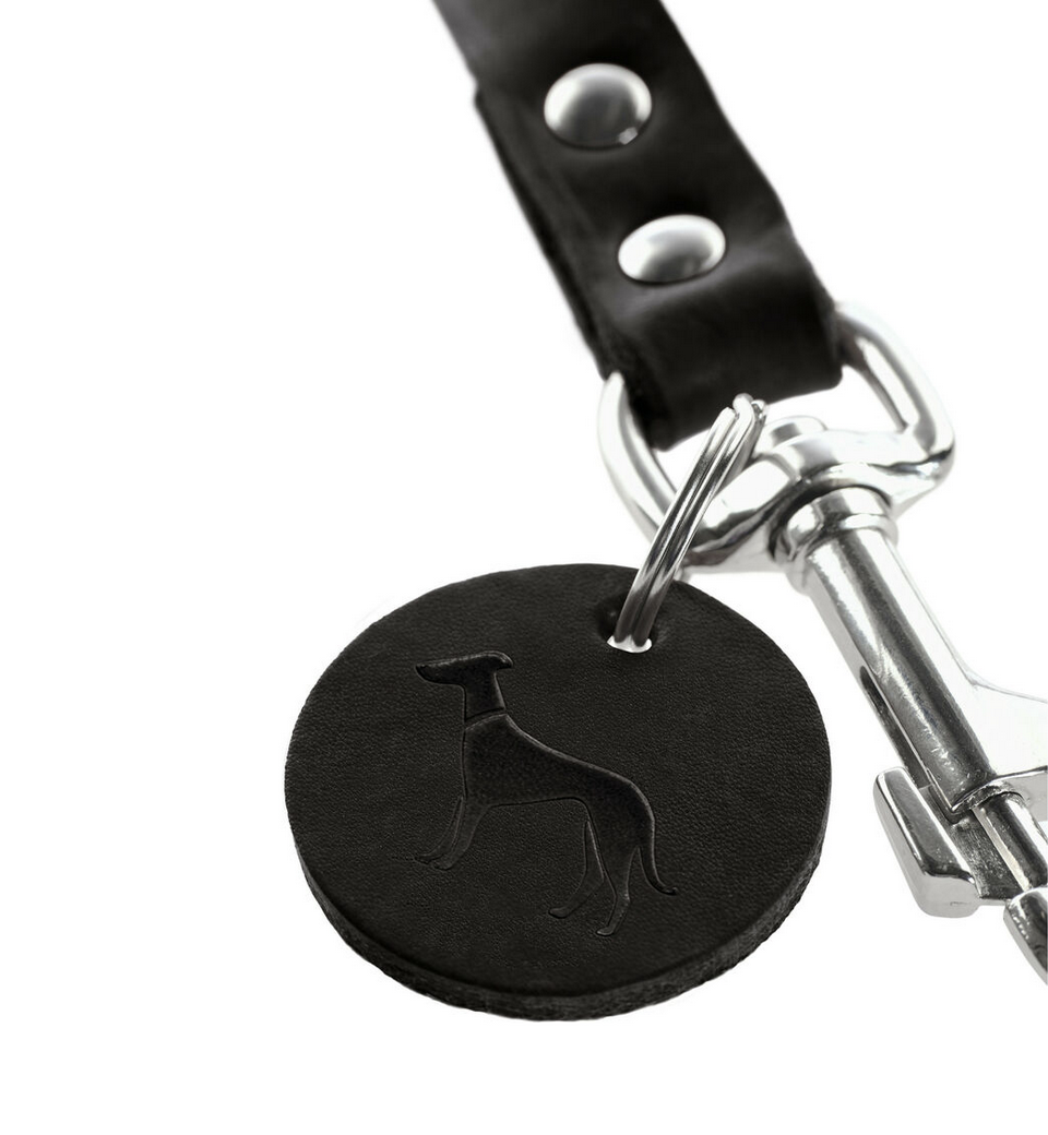 Laisse pour Chien Hunter Noir – 200 cm