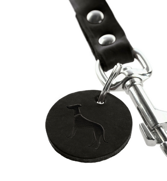 Laisse pour Chien Hunter Noir – 200 cm