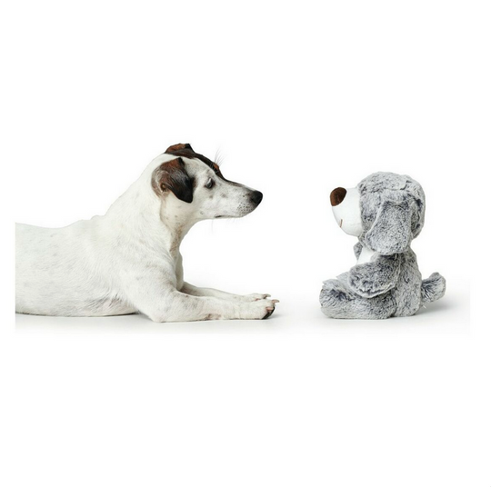 Jouet pour Chien en Peluche Hunter Faro – Chien Gris