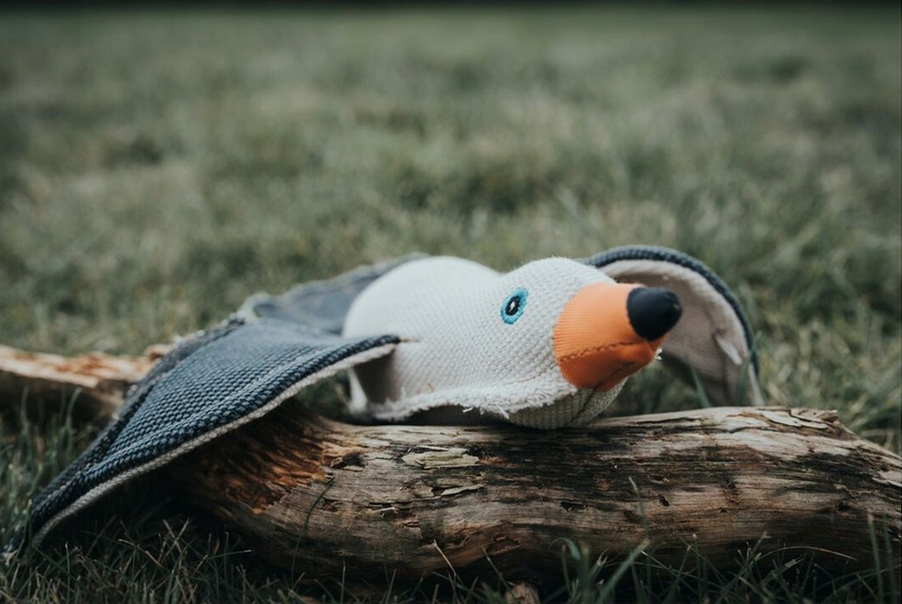 Jouet pour Chien en Peluche Hunter – Mouette Blanche