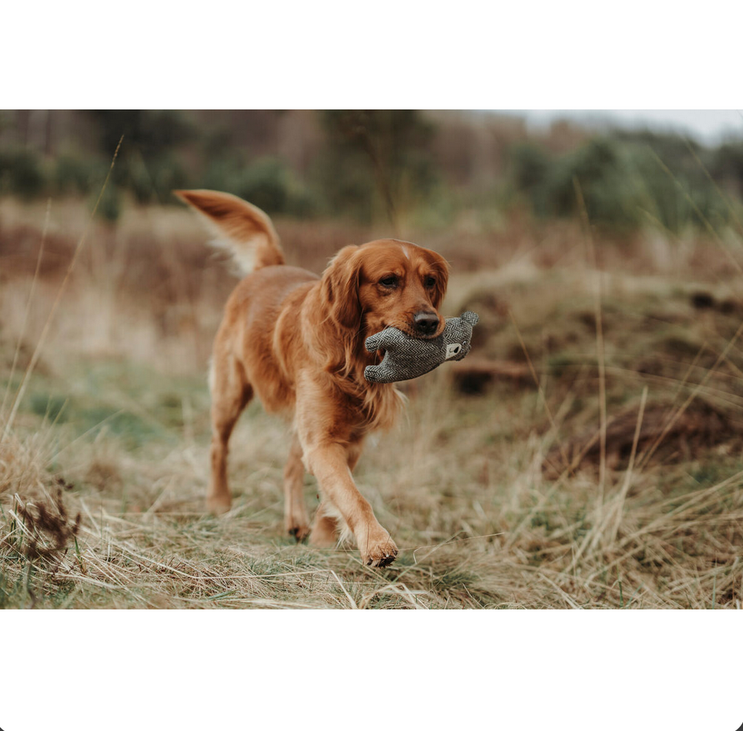 Jouet pour Chien en Peluche Hunter – Ours Gris 100 % Recyclado – 23 cm