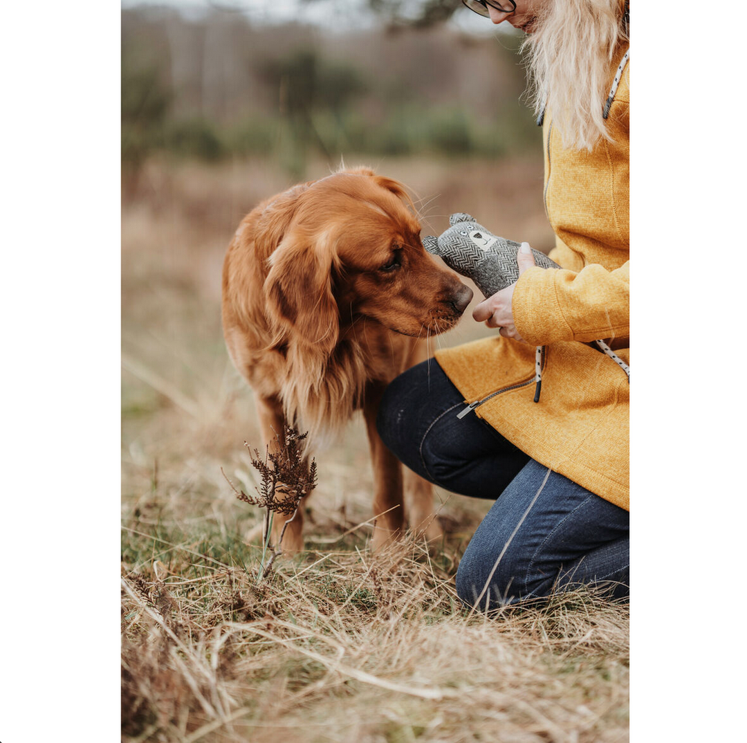 Jouet pour Chien en Peluche Hunter – Ours Gris 100 % Recyclado – 23 cm