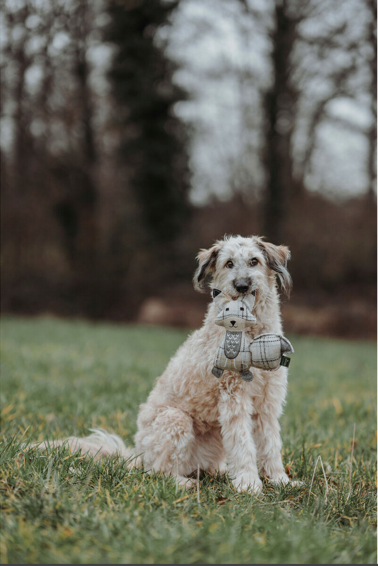 Jouet pour Chien en Peluche Hunter – Renard Beige 100 % Recyclado – 23 cm