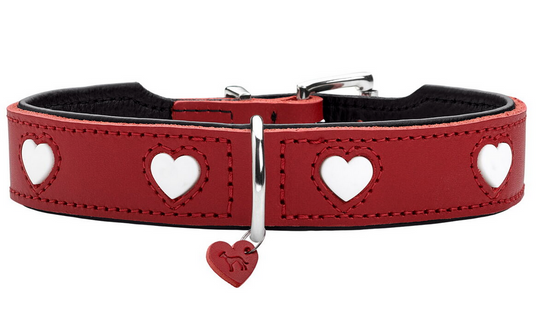 Collier pour chien Hunter Love – Rouge – Taille S/M (38–44 cm)