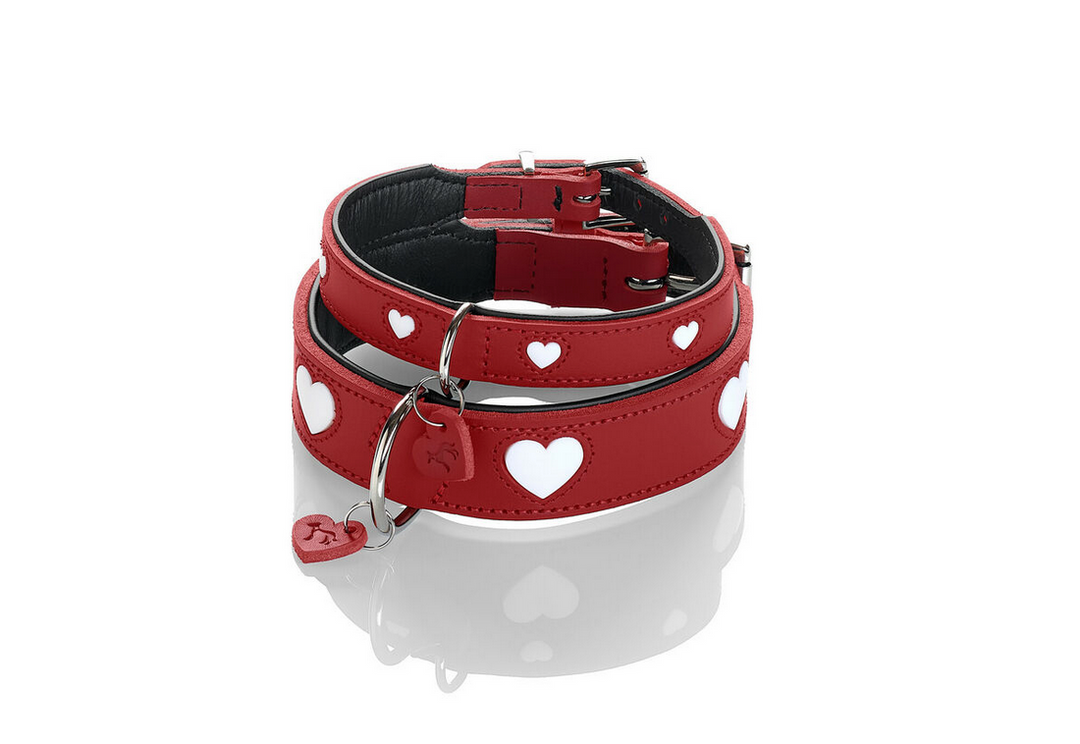 Collier pour chien Hunter Love – Rouge – Taille S/M (38–44 cm)