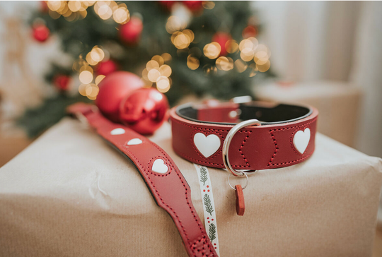 Collier pour chien Hunter Love – Rouge – Taille S/M (38–44 cm)