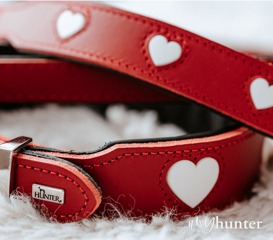 Collier pour chien Hunter Love – Rouge – Taille S/M (38–44 cm)